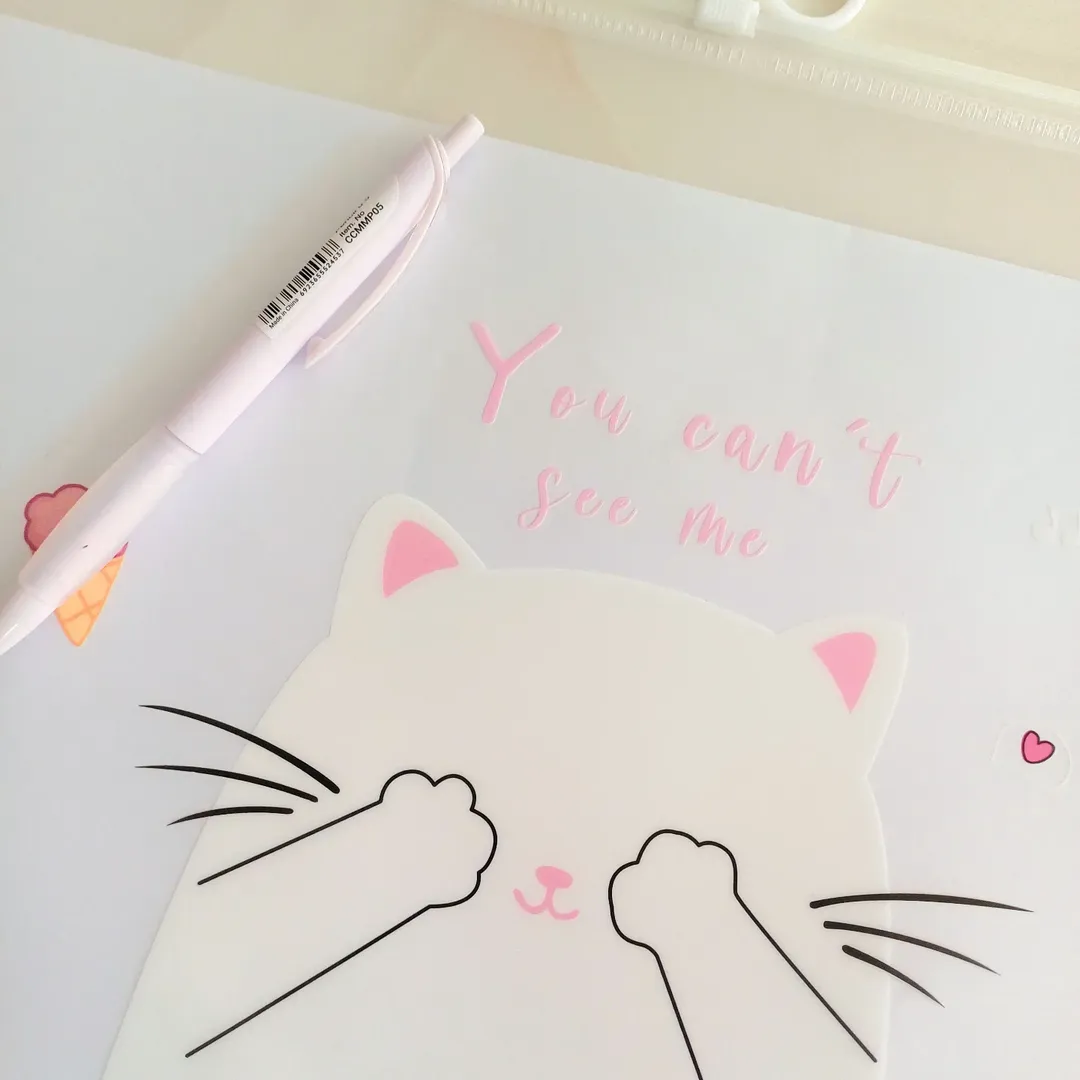 پوشه آ۴ شفاف زیپ دار طرح پیشی کیوت ، کاور A4 زیپ کیپ فانتزی