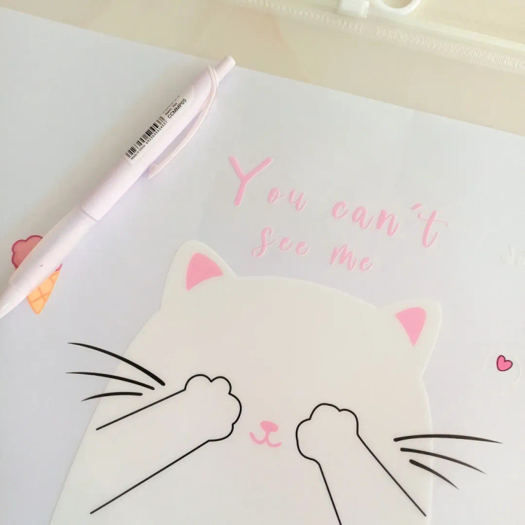 پوشه آ۴ شفاف زیپ دار طرح پیشی کیوت ، کاور A4 زیپ کیپ فانتزی