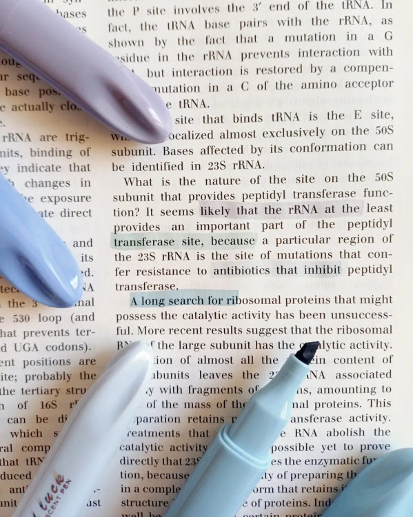 هایلایتر ۴ رنگ ریملی پاستلی برند موراندی Morandi طیف آبی