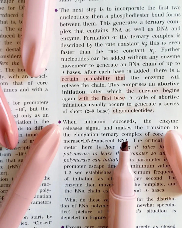 هایلایتر ۴ عددی ریملی پاستلی برند موراندی Morandi طیف صورتی