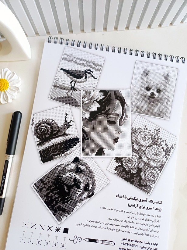 کتاب رنگ آمیزی پیکسلی مونوکرومی با اعداد نقاشی سورپرایزی شماره ای