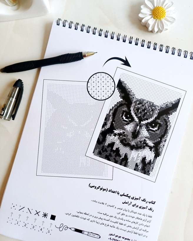 کتاب رنگ آمیزی پیکسلی مونوکرومی با اعداد نقاشی سورپرایزی شماره ای